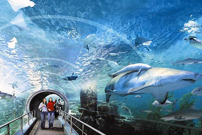 Siam Ocean World