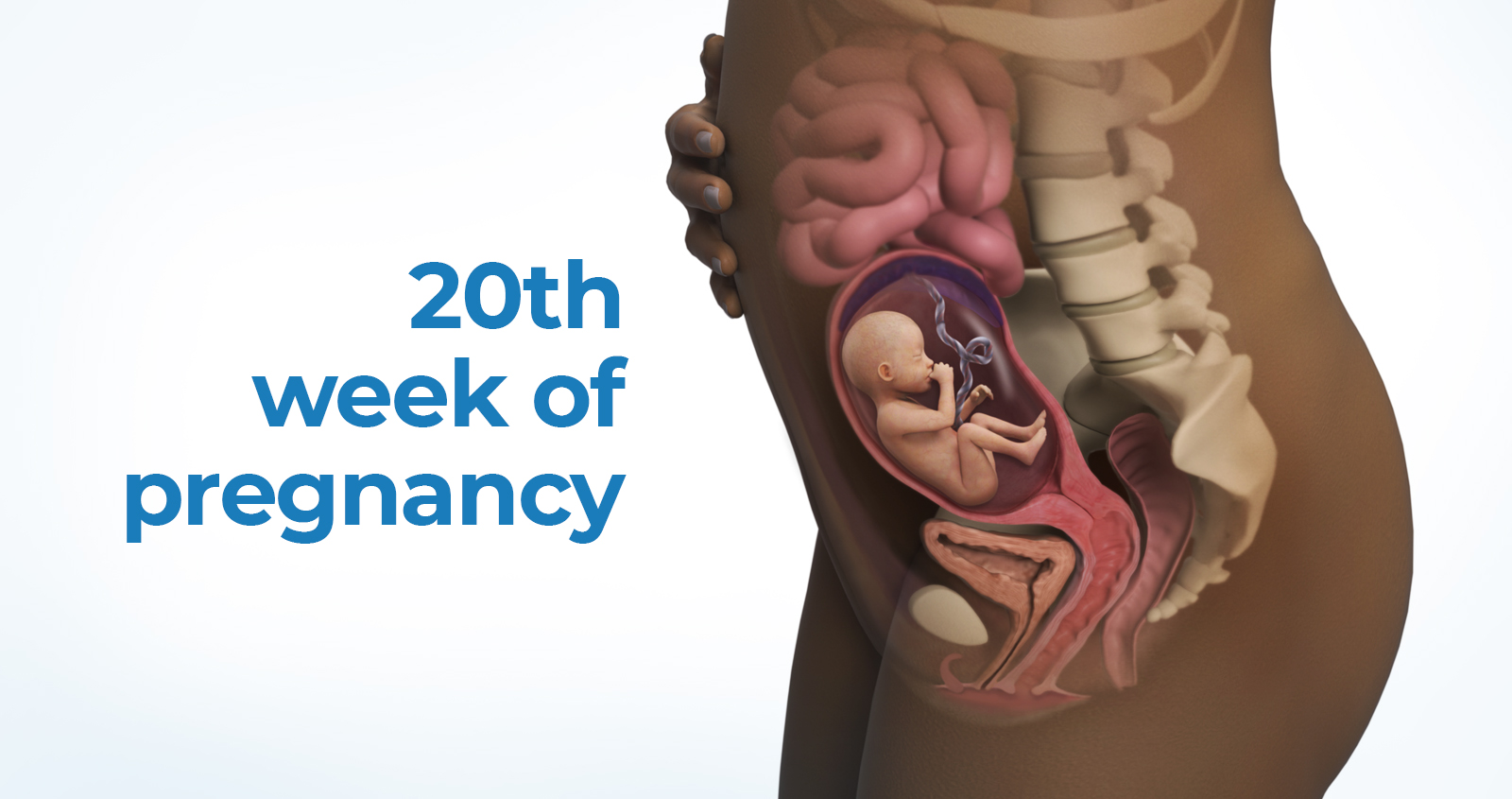 20th week of pregnancy abortion in thailand
