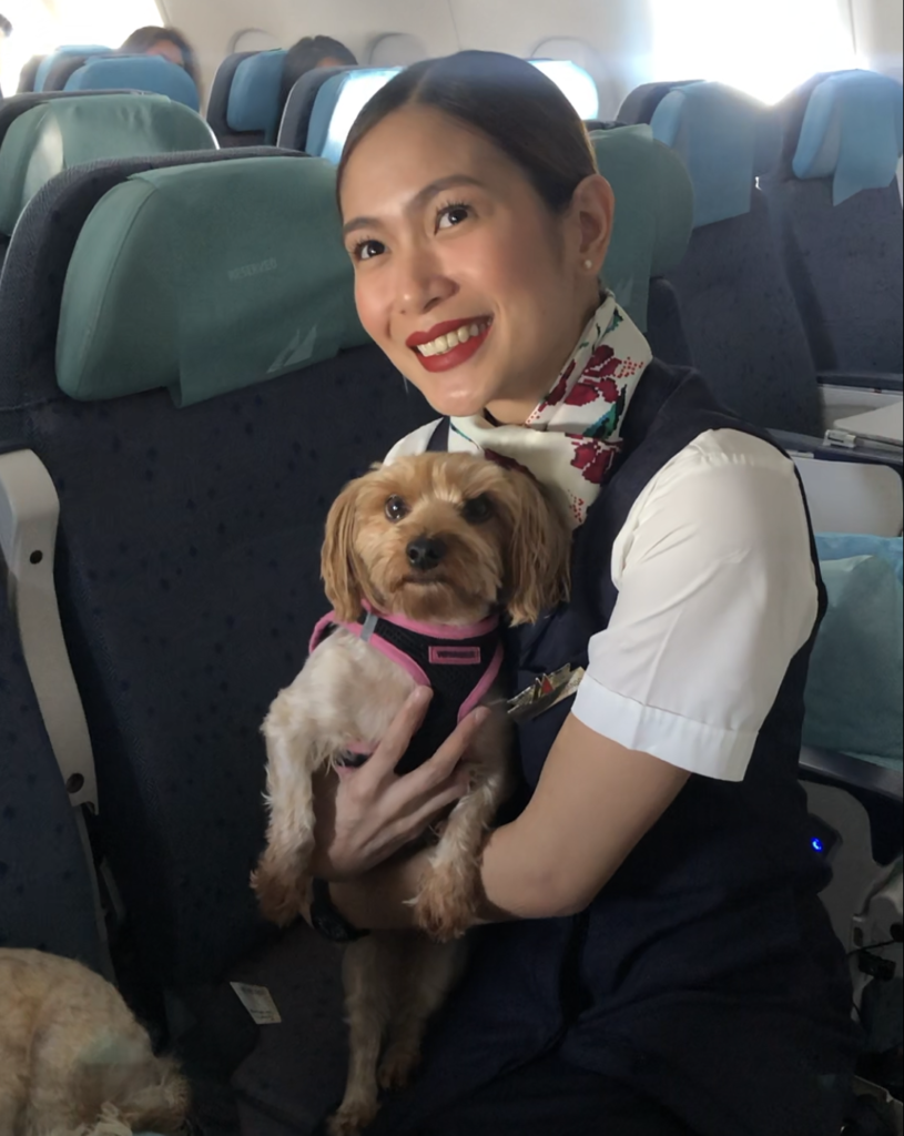 does philippine airlines allow dogs in cabin