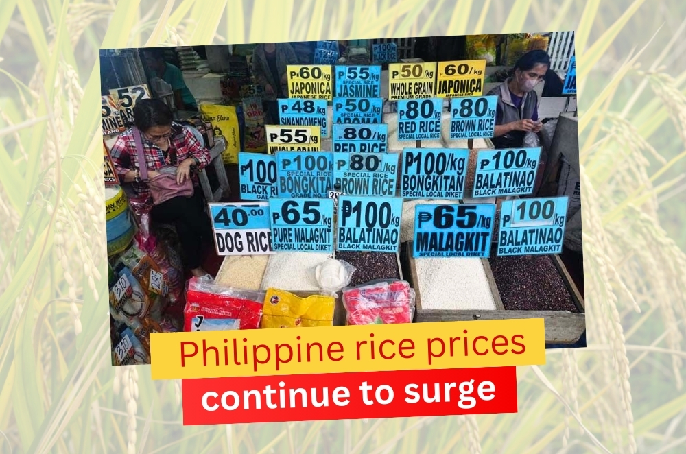 pinoythaiyo-philippine-rice-prices