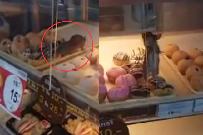 rat in a donut shelf